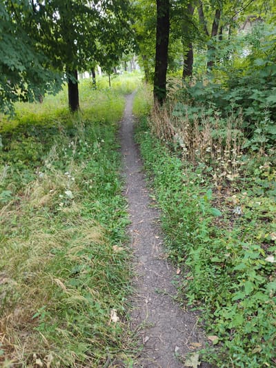 The image depicts a narrow dirt path winding through a wooded area. The path is unpaved and shows signs of wear, indicating it is frequently used. Lush green foliage, including trees and undergrowth, lines both sides of the path. Some of the vegetation appears dry and brittle, suggesting a mix of seasonal growth. The lighting indicates it is daytime, with dappled sunlight filtering through the leaves. No people or specific structures are visible in the image. The scene suggests a natural or semi-natural environment within or on the outskirts of Pelahiivka, Ukraine.