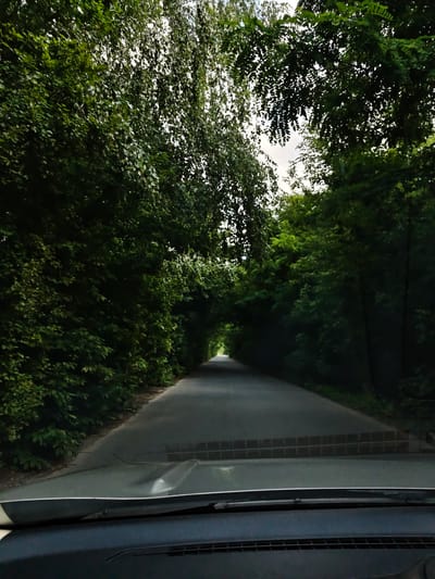 The image shows a paved road with dense green trees lining both sides, forming a natural tunnel over the road. The perspective is from inside a vehicle, looking forward through the windshield. The road recedes into the distance, disappearing into a bend or under a further canopy of leaves. The time of day appears to be daytime, with diffused light filtering through the tree canopy. The foreground shows the dashboard and windshield wipers of the vehicle. The location is identified as a road in Illintsi, Ukraine, characterized by its lush, tree-lined appearance, suggesting a rural or park-like setting. No people or specific objects, beyond the elements of the road, trees, and vehicle interior, are clearly visible.