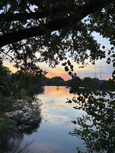 This is a photograph of a lake at sunset, viewed through the silhouette of trees. The sky is painted with hues of orange, pink, and blue, with clouds reflecting on the calm water. On the far side of the lake, a line of trees forms the horizon. Beyond the trees, several tall electricity pylons are visible against the sky, indicating an industrial or semi-industrial area. The foreground is dominated by the dark silhouettes of tree branches and leaves, framing the tranquil scene. This image was taken in Ludwigshafen am Rhein, Germany.