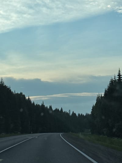 The image shows a winding road through a forest. The sky is overcast with scattered clouds. The trees are dark green and appear to be coniferous. The road is paved and has a white line marking the lane. The overall impression is one of a rural or wilderness setting. The image is a photograph taken from a moving vehicle, as indicated by the slight blur and the perspective. There are no people or animals visible in the image.