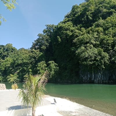 The image depicts a serene waterscape with lush green foliage. The foreground features a paved area with a couple of palm trees, casting long shadows on the ground. To the left, a stone structure is partially visible. The middle ground is dominated by a body of calm, green water, with a rocky, tree-covered cliff face rising steeply on the right side. The sky above is a clear, bright blue. The overall scene suggests a tropical or subtropical environment, possibly a park or resort area. The location is specified as Lamseunia, Indonesia.