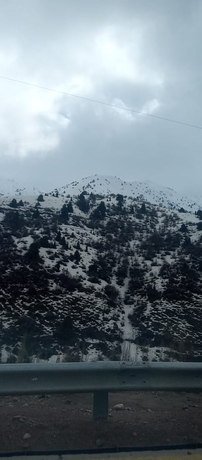 A mountain scene unfolds under a cloudy sky. Patches of snow dust the mountain's slope, intermingling with dark trees and bare branches. A metal guardrail stands in the foreground, bordering a rocky ground. A thin wire stretches across the upper portion of the frame. The overall scene evokes a sense of cold and the quiet beauty of nature.
