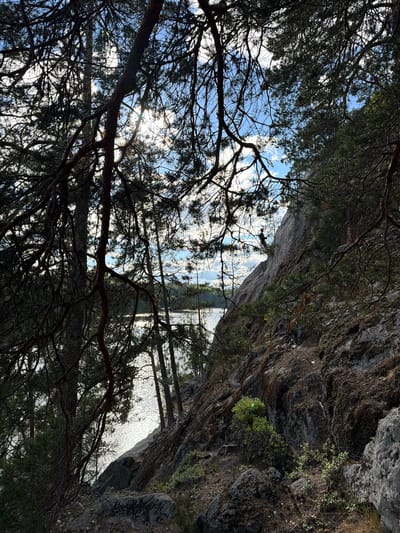 The image depicts a rocky, forested shoreline overlooking a body of water, possibly a lake or river, in Ruch'i, Russia. The foreground is dominated by the dark, silhouetted branches of pine trees, their needles creating a dense canopy. Sunlight filters through the branches, casting dappled light and creating bright highlights on the water's surface. To the right, a steep, rocky cliff face rises, covered in moss and sparse vegetation. A small figure, appearing to be a person wearing a hat and dark clothing, is visible on the cliff face, engaged in what looks like rock climbing. The water in the background reflects the sky, which is a mix of blue and white clouds. The overall impression is one of a natural, rugged landscape bathed in sunlight.