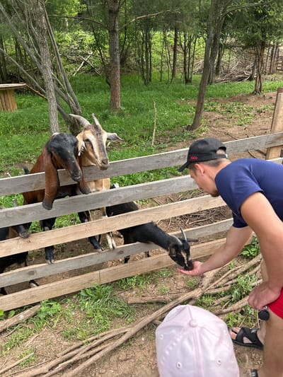 In Gol'yany, Russia, a young man wearing a blue t-shirt and a black "HUGO" baseball cap is feeding goats by hand at a wooden fence. The goats, some brown and black with horns, are leaning over the fence to eat from his palm. Behind the fence, there is lush green grass and trees, suggesting an outdoor, possibly rural or park-like setting. A child wearing a pink hat is partially visible in the foreground, facing away from the camera.