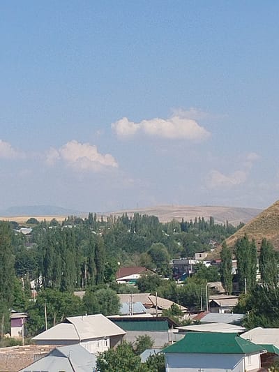 The image is a high-angle, full-frame shot of a rural village scene in Mady, Kyrgyzstan, on a clear day with scattered clouds. The sky is a bright blue, dominating the upper half of the image. Below the sky, rolling hills and mountains form the horizon, with lighter brown and green hues indicating dry vegetation and distant trees.
The midground features a dense forest of tall, slender trees, predominantly green, interspersed with the rooftops of houses. These houses are of varying architectural styles and colors, with some having tin roofs and others tiled. Many appear to be single-story dwellings. There are also glimpses of what might be agricultural fields or open land between the forested areas and the houses.
The foreground is occupied by more houses, some of which have distinctive green roofs. The detail in the foreground is clearer, showing the textures of building materials and the foliage of surrounding trees. The overall impression is one of a peaceful, residential area nestled within a natural, mountainous landscape. There are no visible people or animals in the image.