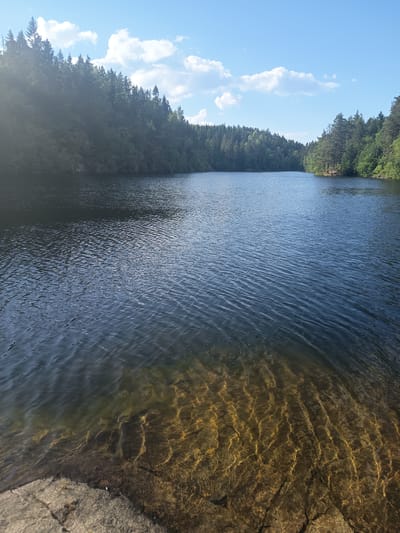 The image depicts a serene lake surrounded by dense forest under a clear blue sky with scattered white clouds. The foreground shows the edge of the lake with clear water revealing the rocky bottom, illuminated by sunlight. Gentle ripples disturb the surface of the water. The trees lining the shore are a mix of coniferous and deciduous varieties, creating a lush green backdrop that extends into the distance, following the curves of the lake. The scene appears peaceful and natural, indicative of a recreational area or a wilderness setting. The specific location in Drammen, Norway, is not identifiable from the visual information alone, as it resembles many similar natural landscapes found in the region.