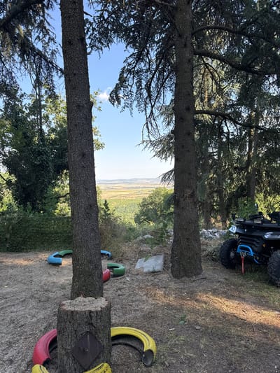 This image depicts an outdoor scene near the city of Pobeda, Bulgaria. In the foreground, two large pine trees dominate the frame, their rough bark visible. Around the base of one tree, a chopped stump is visible, surrounded by colorful, painted car tires: red, yellow, and blue. In the background, a view opens up to a vast agricultural landscape under a clear blue sky. To the right of the frame, a black all-terrain vehicle (ATV) with blue accents and bright LED lights is parked. The ground is covered with dirt and dry grass, suggesting a rural or semi-rural setting. The overall impression is one of a recreational or storage area in a natural environment.