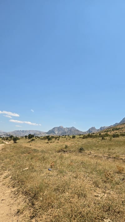 The image depicts a wide-angle, eye-level view of a dry, grassy landscape under a clear blue sky. In the foreground, a dirt path or road is visible on the left, bordered by dry, short grass. The middle ground is covered in dry, golden-brown grass and scattered small, sparse green shrubs or trees. A small piece of blue plastic litter is visible in the grass. In the background, a range of mountains stretches across the horizon, appearing rocky and barren with some vegetation on their lower slopes. The sky is a vivid, uninterrupted blue with a few wispy white clouds on the far left. The overall impression is of a remote, arid, and undeveloped natural environment, consistent with a rural or wilderness setting like Terekty, Kazakhstan.