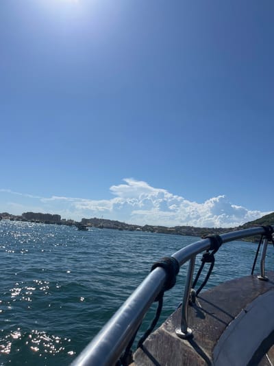 Bright sunlight illuminates a seaside scene. A metal railing runs along the right side, contrasting with the deep blue water. Across the water, a distant shoreline is visible, dotted with buildings under puffy white clouds. The sky transitions from a deep blue at the top to a lighter shade near the horizon where the sun's rays create shimmering reflections on the water's surface.