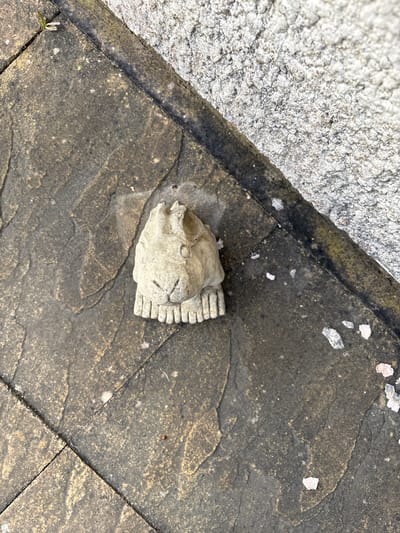 A light-colored concrete or stone rabbit head sculpture, featuring a stylized face and ruffled base, rests on a weathered, dark grey paved surface composed of rectangular flagstones in Stiperstones, United Kingdom. The flagstones display varying shades of grey and brown, with visible grout lines, and areas of dirt and light particulate accumulation. A small green plant sprouts from a flagstone joint in the upper left. Adjacent to the paved surface, along the upper right diagonal, is a rough, light grey textured surface, likely a wall or rendering. Scattered small, pale fragments of material are present on the flagstones, predominantly towards the right, and a single small red spherical object is visible on a lower flagstone. No individuals or active interactions are observed.