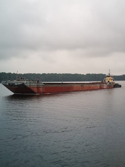 An overcast day in Anisimovo, Russia, features a large, red-hulled barge being pushed by a yellow and white tugboat. The barge, empty except for some wooden debris on its deck, is being navigated along a wide, calm body of water. The distant shore is lined with a dense forest of green trees. Two individuals in orange vests are visible on the deck of the barge, and another person is on the tugboat. The water's surface is slightly rippled, reflecting the muted tones of the sky.