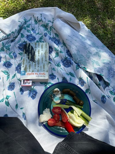An outdoor scene depicts a person relaxing in a grassy area within the Menashe Regional Council, Israel. The individual's legs, clad in dark blue or black jeans, are visible in the foreground, indicating a first-person perspective or a low-angle shot. A white blanket with a repeating pattern of blue and teal roses is spread across the green grass.
To the left of the person's legs, a book rests open on the blanket, marked with a small, colorful bookmark. The book's cover features a stylized illustration of a black, bird-like silhouette (resembling a crow or raven) standing amidst numerous smaller, light-colored fish shapes. Hebrew text is visible on the cover.
Adjacent to the book, a round, blue-rimmed ceramic plate holds remnants of a meal. The contents include several pieces of white cheese or feta, sliced red cherry tomatoes, sliced red pepper, sliced green cucumber, and several pieces of what appear to be pickled vegetables, possibly gherkins or small cucumbers, dark green and cylindrical. A smear of a white, creamy substance, possibly labneh or a dip, with sesame seeds, is present on the upper left portion of the plate. Sunlight casts distinct shadows across the blanket and plate, suggesting a clear day. The background consists of green grass.