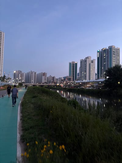 This image depicts a waterside path in Uijeongbu-si, South Korea, at dusk. A man in a blue shirt and jeans walks on a bright green path, facing away from the camera. Another person in a black shirt walks ahead of him on the same path. The path runs alongside a river, reflecting the lights of the city. In the background, a row of tall, modern apartment buildings stretches across the horizon, their windows illuminated. The sky is a gradient of pale blue and purple, indicating the transition from day to night. The foreground features tall, green grass with a few scattered yellow flowers. The overall scene suggests a peaceful evening stroll in an urban environment.