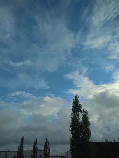 The image shows a cloudy sky over Peetri alevik, Estonia. The sky is a mix of blue and gray clouds, with some wispy cirrus clouds present. In the foreground, there are several tall, slender trees with dark green leaves. To the left, a building with a white facade and dark windows is visible, likely an industrial or commercial structure. To the right, another building with a dark roof and some visible vents or fixtures can be seen. The overall scene depicts an outdoor environment, possibly a park or an area with scattered trees near buildings, under a dynamic sky. There are no people or animals visible in the image.