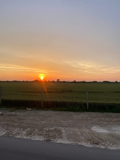 The image captures a serene sunset over a rural landscape. The sky transitions from a pale blue at the top to hues of orange and yellow near the horizon, illuminated by the setting sun. Wispy clouds are scattered across the sky. Below the sky is a wide expanse of green agricultural fields, possibly crops like wheat or barley, stretching towards the horizon. A line of trees and some distant structures, including what appear to be industrial chimneys, are visible against the horizon. In the foreground, there is a dirt or gravel path bordering a paved road. Several wooden fence posts are sparsely placed along the edge of the field. The overall scene depicts a peaceful, natural environment at dusk. The location is identified as Podłęże, Poland.