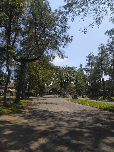 This image depicts a wide, paved pedestrian pathway located in the city of Nová Bystřice, Czechia. The pathway is constructed from interlocking gray pavers and is heavily shaded by dappled sunlight filtering through a dense overhead tree canopy. Numerous mature trees, including both deciduous and coniferous species, line both sides of the pathway. The sky above is clear blue with a few scattered white clouds, indicating a bright, sunny day.
On the left side of the pathway, beyond the immediate treeline, multiple buildings with light-colored facades are visible in the distance; one exhibits an orange-colored roof or awning. On the right side, a black street lamp pole with a light fixture is present, and further down, a blue cylindrical object, consistent with a public waste receptacle, is partially visible. Strips of green grass border the paved pathway on both sides. No individuals are discernible within the frame, and no specific actions or interactions are depicted. The scene presents an urban park or public promenade environment.
