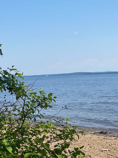 This image depicts a serene waterscape with a shoreline. The primary subjects are the vast expanse of water, a sandy and debris-strewn beach, and lush green foliage in the foreground. The water appears calm with gentle ripples, reflecting the clear blue sky. Several small sailboats are visible in the distance on the water, suggesting a recreational activity.
The setting is likely a lake or a wide river, with a distant shoreline of trees visible across the water. The beach is comprised of sand, small stones, and a scattering of natural debris like twigs and dried leaves. The foliage in the foreground consists of green leaves and thin branches, some with small dark berries or buds.
The time of day appears to be daytime, with bright sunlight casting shadows and illuminating the scene. The sky is predominantly clear blue with a few faint, wispy clouds. The overall mood is peaceful and tranquil. There is no visible text in the image. The location is noted as the Town of Peru, United States of America.