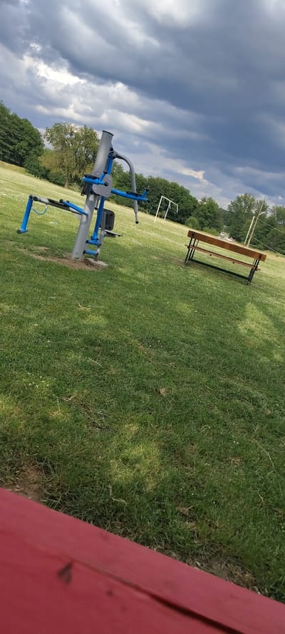 This outdoor image captures a public recreational area in Beguntsi, Bulgaria, under a heavily clouded sky. The scene is dominated by green grass, dotted with small white flowers, suggesting a park or a sports field.

In the mid-ground, a piece of outdoor exercise equipment, featuring blue and grey components designed for a seated workout, is prominently visible. Further into the mid-ground, to the right of the exercise machine, a simple wooden bench with a dark metal frame offers a resting spot. In the background, to the left of the bench, a white goal post, likely for soccer or football, stands on the grassy field. Lush green trees form a dense line across the horizon.

The sky is a notable feature, filled with dark, dramatic grey clouds that suggest overcast weather, possibly before or after rain, or a particularly gloomy day. Despite the clouds, it is clearly daytime. A red structure, possibly a wooden fence or part of a building, partially frames the right side of the foreground. No people are present in the image, indicating a quiet moment at the location. There is no visible text.