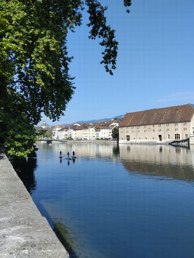 The image depicts a scenic view of the Aare River in Solothurn, Switzerland, on a clear, sunny day. In the foreground, a stone embankment lines the left side of the river, with a large tree canopy extending from the upper left corner, casting a shadow on the embankment and water. The calm, blue water of the river reflects the sky and the buildings on the opposite bank.
Three individuals are visible in the middle ground, engaged in paddleboarding on the river. They are spaced apart and appear to be enjoying the water.
Across the river, a picturesque row of historic buildings lines the waterfront. These buildings are characterized by their light-colored facades, red-tiled roofs, and numerous windows. Prominent among these is a large, traditional building with a distinctive reddish-brown roof and multiple shuttered windows, which is a landmark in Solothurn. In the background, hills and mountains are visible, suggesting the city's setting within a broader landscape. The overall atmosphere is tranquil and idyllic, highlighting the natural beauty and architectural heritage of Solothurn.