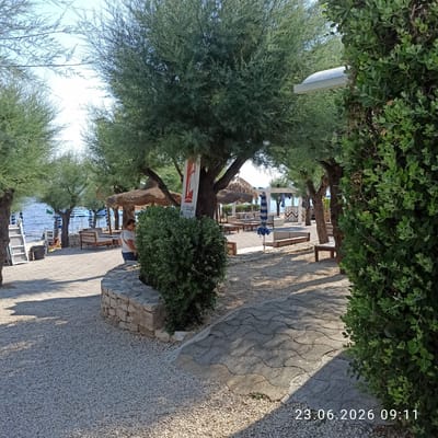 This is a wide-angle outdoor shot of a beach resort area in Molfetta, Italy, captured on June 23, 2026, at 09:11. The scene features a pathway paved with interlocking concrete blocks and a gravel area, lined with trees and lush green bushes. In the background, the Adriatic Sea is visible, with a beach, lounge chairs, and thatched umbrellas suggesting a recreational setting. The image also includes a woman standing near a stone wall, and a banner with Italian text is displayed on a tree. The overall atmosphere is one of a peaceful, sunny day at a coastal establishment.