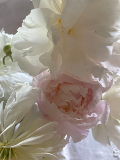 This media file is a close-up, high-angle shot of a bouquet of white and pale pink peonies. The lighting is soft, suggesting an indoor setting possibly illuminated by natural light, perhaps during the day. The flowers are densely packed, with layers of delicate petals filling the frame. One peony in the center exhibits a soft pink hue, while others are a creamy white, some with hints of yellow in their centers. The textures of the petals are emphasized by the soft focus and the way light plays on their surfaces, creating a dreamy and ethereal effect. There are no people or text visible in the image. The overall impression is one of delicate beauty and natural elegance. The context provided, "Коротиха, Russia," offers a geographical location but no specific visual cues within the image itself indicate this location.