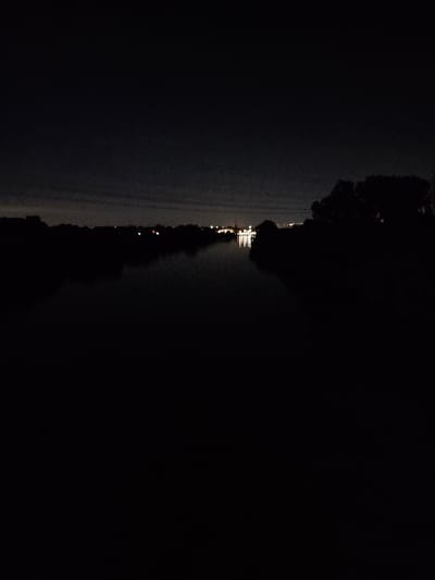 The image is a nighttime photograph of a wide river, likely the Main, in Flörsheim, Germany. The water is dark and still, reflecting the faint lights of a distant town or city. The shoreline is lined with trees, silhouetted against the dim sky. The overall impression is one of quiet and solitude. There are no people or any discernible objects in the foreground. The image is characterized by its low light conditions, with the majority of the frame being dark.