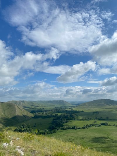 This is a vertical, medium-shot photograph of a vast, verdant landscape under a bright blue sky dotted with fluffy white clouds. The foreground is dominated by a grassy slope with scattered rocks and a few small yellow wildflowers. The midground features rolling green hills that give way to a wide valley. A dense line of trees runs through the center of the valley, likely following a river or stream, with scattered trees and fields extending outwards. The background shows more undulating hills fading into the distance, bathed in soft light. The overall impression is one of natural beauty and tranquility.