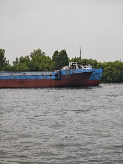 A rusted barge with blue and red painted sections is docked on a wide, calm river under a cloudy sky. The barge is in the foreground, partially obscuring the lush green trees and vegetation lining the opposite bank. The name "БОА - 48" is visible on the front of the barge. The river is dark gray and shows small ripples. The scene appears to be in the city of Peschanka, Russia, likely a port or industrial area given the presence of the barge. There are no people visible in the image.