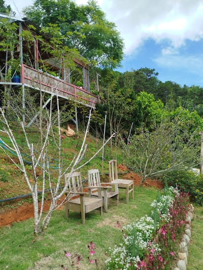 In the city of Xuân Sơn, Vietnam, a sloped grassy yard features a weathered wooden structure elevated on stilts. The structure, possibly a deck or an outdoor living area, has a red railing and a roof made of corrugated metal. In front of the structure, three aged wooden chairs are arranged on the lawn. Behind the chairs, a young tree with white bark stands, its branches bare of leaves. To the right of the chairs, a row of flowering plants with white and pink blooms is bordered by grey stones. The background is filled with lush green trees and foliage, and the sky above is a mixture of blue and white clouds. The scene suggests a peaceful outdoor setting, possibly a garden or a rural retreat.