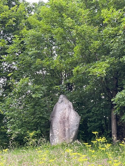 A large, grey, weathered stone, possibly a memorial or natural landmark, stands upright in a grassy field dotted with small yellow and purple wildflowers. The stone is roughly shaped, appearing somewhat anthropomorphic with a rounded top that could be interpreted as a head. Behind the stone, a dense forest of green trees forms a natural backdrop. The overall impression is one of a quiet, natural setting, likely in a rural area. The image does not provide specific information about the city of Iru, Estonia, but the scene suggests a place of natural beauty. There are no people or animals visible in the image.