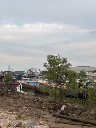 The image depicts a harbor in Pak Nam Chumphon, Thailand. Several fishing boats are docked along the muddy shoreline. Debris and rocks are visible along the edge. A tree grows near the water. A gray, overcast sky is overhead.