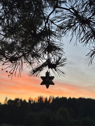 An ornament shaped like a five-pointed star hangs from a pine tree branch, silhouetted against a sunset sky. The sky transitions from a pale blue at the top to a vibrant orange and pink near the horizon. Below the sky, a dark, blurred line of trees forms the silhouette of a forest. The image is taken outdoors in Maksimovo, Russia, during twilight.