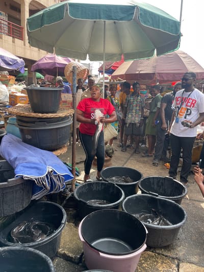 The image depicts a bustling outdoor market scene in Ebute-Metta, Nigeria, under daylight conditions. The central figure is a dark-skinned female, positioned mid-frame, wearing a red short-sleeved t-shirt with "PEEPER SOUP" text partially visible, black leggings, and sandals. She holds a large, live, dark-colored fish, identified as a catfish, horizontally with both hands at chest level, facing forward. Her mouth is open, suggesting active communication or vocalization.
Surrounding her on the wet, paved ground are multiple black plastic buckets, each containing live catfish submerged in water. One lighter-colored plastic bucket is empty. To her immediate left, a stack of black plastic buckets is arranged, with woven circular mats placed between them, and a folded blue tarp or umbrella resting on the ground nearby.
In the background, numerous individuals, male and female, of varying ages and attire, are visible. They stand in groups or individually, observing the scene or moving through the market. One male on the far right foreground wears a white t-shirt with "PEPPER SOUP" text and dark sunglasses, holding a small dark object in his right hand. Further back, a person is seen carrying a tray of goods on their head. Market stalls with packaged items, including boxes labeled "MIMEE," are visible on the left.
The scene is partially shaded by multiple large market umbrellas, with a prominent green and white striped umbrella dominating the upper center. Other umbrellas in colors such as purple and reddish-brown are also visible. A multi-story building with balconies and railings is present in the far left background. The overall environment indicates a busy commercial setting focused on the sale of fresh fish and other goods.