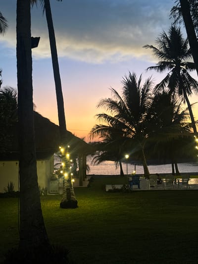 Palm trees frame a beachfront sunset scene. The sky blends from blue to orange. String lights adorn palm trees on a grassy area, where tables and chairs are arranged, possibly for an event. The ocean is visible in the background between the palms. A nipa hut-style structure adds a tropical feel.