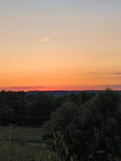 A vertical photograph captures a serene sunset over a rural landscape, likely in Uzunovo, Russia, given the context of the location. The sky is painted in a gradient of soft blues at the top, transitioning through pale orange and ending with a vibrant band of orange and red just above the horizon. A small, wispy cloud is visible in the upper portion of the sky. Below the sky, a dense line of dark green trees forms a silhouette against the bright sky, with a hint of a distant, darker tree line or hill beyond them. In the foreground, more trees are visible, their foliage lush and dark. In the lower left quadrant, a single, light-colored pole stands in a field with sparse vegetation. The overall impression is one of peace and natural beauty. There are no people or animals visible in the frame.