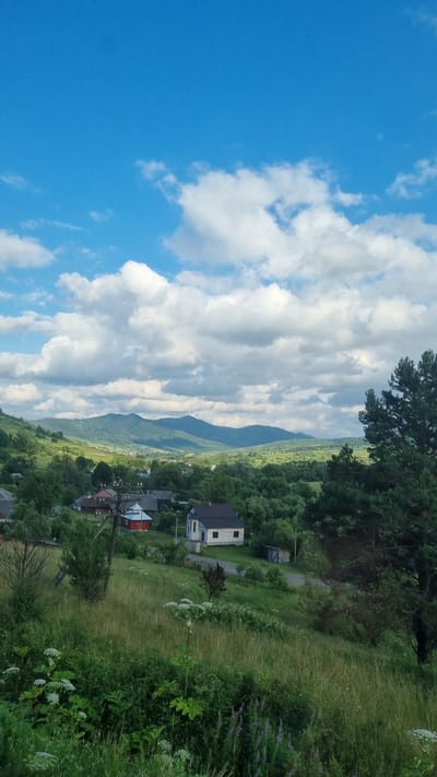 This is a vertical, eye-level, medium shot photograph of a rural landscape in Yavora, Ukraine. The image captures a village nestled amongst rolling green hills and distant mountains under a bright blue sky with scattered white clouds. In the foreground, tall grasses and wildflowers dominate the scene, with a large pine tree on the right side of the frame. A pathway winds through the vegetation.
In the middle ground, several houses are visible. One house, predominantly white with a dark roof and small brown-framed windows, is situated on a slight incline. Next to it is a smaller red house with a gray roof. Further into the village, more homes with dark roofs are scattered among lush green trees. Power lines and poles are also present.
The background features a series of layered, tree-covered hills that gradually recede into the distance, culminating in a mountain range under the bright sky. The overall impression is one of a peaceful, rural setting bathed in natural light. There are no people or animals visible in the image.