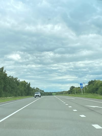A white SUV drives on a two-lane paved road with a white line down the center. The road is lined with green trees on both sides. The sky is cloudy and gray. There are road signs on the right side of the road. The scene is in Nadezhdino, Russia.
