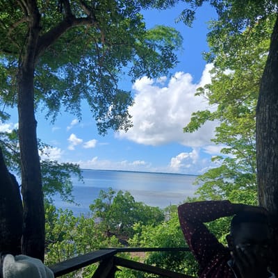 The image depicts an elevated outdoor scene overlooking a large body of water, consistent with the Indian Ocean coastline in Tanga, Tanzania. The foreground features a partial view of a person on the right, dark-skinned, wearing a dark red shirt with light polka dots. Their right arm is bent, with the hand behind their head/neck, and their left hand covers their mouth and chin area. A dark wooden railing is visible in the lower center, suggesting a balcony or observation deck. To the left of the railing, a white, fluffy textile object is present. The scene is framed by the dark trunks and vibrant green foliage of trees on both sides and overhead. Beyond the immediate foliage, a wide, calm expanse of blue-grey water extends to a distant, faint green shoreline. The sky above is bright blue with numerous white cumulus clouds.