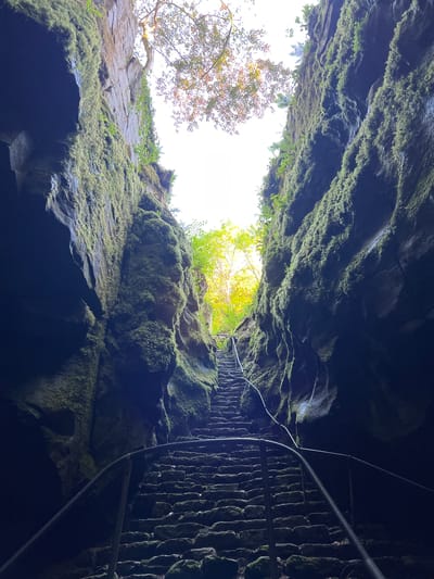 A low-angle shot looking up into a dark, moss-covered cave. The rock formations are coated in lush, green moss, creating a textured appearance. A metal staircase with vertical bars is partially visible on the right side of the frame. Light enters the cave from an opening at the top, where foliage from trees is visible against the bright sky. The location is Garraunbaun, Ireland.