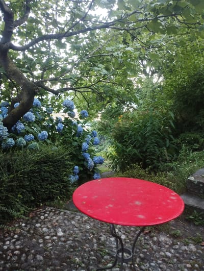The image captures a garden scene in Orselina, Switzerland. A vibrant red, round table with a dark metal base stands in the foreground, placed on a cobbled pathway. Behind the table, a large hydrangea bush displays abundant clusters of blue flowers, nestled against a gnarled tree trunk. Lush green foliage forms the backdrop, with dense bushes and trees creating a verdant, natural environment. Sunlight filters through the leaves, casting dappled light on the scene. The overall impression is one of a tranquil, outdoor setting, characteristic of a garden in a picturesque Swiss town.