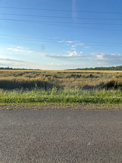 This image depicts a rural scene with a paved road in the foreground, a field of dry grass or crops, and a tree line in the distance under a blue sky with scattered clouds. There are power lines visible against the sky. The location is specified as the city of Aleksandrovskiy, Russia. The scene appears calm and still, with no people or animals visible. The lighting suggests it is daytime, possibly late afternoon or early morning due to the angle of the sun casting shadows on the field. The environment is agricultural, with the dominant feature being the vast field.