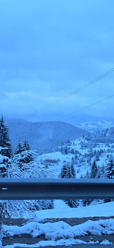 The image captures a serene, snow-covered winter landscape, likely in a mountainous region, consistent with the provided location context of Stoikite, Bulgaria. The scene is dominated by cool blue tones, suggesting an overcast day or early morning/late afternoon light.

In the foreground, a dark metal guardrail runs horizontally across the bottom of the frame, with patches of fresh snow accumulated on and beside it, indicating a roadside or elevated viewing point. Beyond the guardrail, numerous evergreen trees, heavily laden with snow, punctuate the middle ground, creating a dense, frosted forest. A small, dark body of water, possibly a pond or partially frozen lake, is visible amidst the snow and trees in the mid-distance.

Further back, the landscape stretches into rolling, snow-blanketed hills and mountains, with scattered dwellings or a small village visible on the slopes, also covered in snow. Two power lines or cables extend diagonally across the upper left quadrant of the sky, contrasting with the soft, cloud-filled blue sky. No human activity or visible text is present in the tranquil, cold environment. The overall impression is one of peaceful winter solitude.