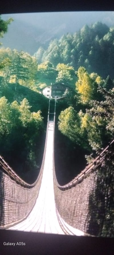 The image displays a picturesque landscape featuring a long, curving suspension bridge spanning a deep, forested valley. The perspective is from one end of the bridge, looking along its path and across the gorge.

The main subject is a pedestrian suspension bridge, which exhibits a distinctive S-curve as it traverses the valley. Its walkway appears to be constructed from wooden planks, supported by cables, and it features metal handrails on both sides. The bridge seems to lead towards a small, light-colored building with a dark roof, nestled among the trees on the opposite side of the valley.

The setting is a lush, green natural environment, likely a mountainous or hilly region. The valley walls are densely covered with vibrant green and yellowish-green trees, indicating a healthy forest. A calm, dark body of water, possibly a river or lake, is visible at the bottom of the valley, reflecting the surrounding greenery. The sky above is a clear light blue, suggesting daytime with good weather. No specific activity or people are visible on the bridge or in the scene, conveying a sense of tranquility and natural beauty.

A "Galaxy A05s" watermark is visible at the bottom right of the image (when viewed in the correct landscape orientation). The location context provided is Zavoy, Bulgaria.