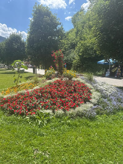 This image captures a vibrant flowerbed in Schönau am Königssee, Germany, featuring a prominent display of red impatiens, surrounded by yellow, white, and purple flowers. To the left, a tall sunflower stands out against a grassy lawn. In the background, people are seen strolling along a paved pathway, with trees and a blue awning belonging to a vendor providing shade. The sky above is blue with scattered white clouds, and the overall scene suggests a sunny day in a park or public space.