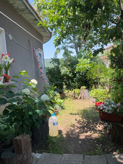 The image depicts a sunlit backyard area with a gray-walled building on the left. A red ladder leans against the building. Several potted plants, including white hydrangeas and red and white flowers, are visible. In the background, lush greenery and trees are abundant, with a hint of a red-tiled roof and rolling hills in the distance, suggesting a semi-rural or suburban setting consistent with Sokolovo, Bulgaria. The ground is covered with grass and dirt, with some scattered leaves. Shadows from trees are cast across the yard. A large plastic bottle filled with a light-colored liquid is placed on a tree stump. Several wooden stumps are also present in the yard, one of which supports a small cluster of flowers. The overall scene conveys a feeling of a summer day in a well-maintained garden.