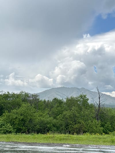 The image depicts a natural landscape scene. In the foreground, a body of water with ripples and some debris is visible, bordered by a grassy bank with scattered yellow wildflowers. Behind the grass, a dense line of lush green trees and bushes forms a barrier. In the middle ground, the hazy outlines of rolling hills or mountains are present, their contours softened by distance. The sky is filled with a dramatic display of clouds, ranging from heavy, dark gray masses to bright white, fluffy cumulus formations, with a small patch of blue sky visible on the right. A solitary, bare, dead tree stands in the middle right of the frame, its branches stark against the cloudy sky. The overall impression is one of a natural, slightly overcast day in a rural or wilderness setting. There are no people or man-made structures prominently featured in the image.