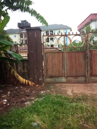 In Nanka, Nigeria, this image captures a rustic scene dominated by a large, weathered, corrugated metal gate. The gate appears aged, with visible rust and vertical striations. Above the gate, a decorative element features several circular metal rings. To the left of the gate, a dark, vertical metal post stands prominently. Beyond the gate and post, two multi-story buildings are visible. The building on the left has a dark, sloped roof and cream-colored walls with blue-trimmed windows. Further back, another building with a similar color scheme and blue windows is present. On top of a structure behind the gate, several dark water tanks are mounted on a metal scaffolding. In the foreground, lush green grass grows alongside a patch of brown, dry ground littered with debris. To the far left, large green banana leaves extend into the frame, with a dried, yellowing banana leaf in front of the dark metal post. The sky above is overcast and bright.