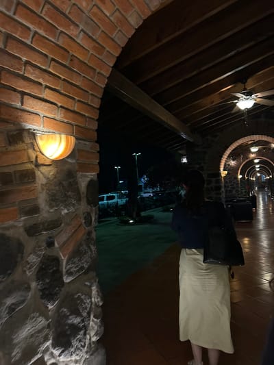 A sideways, canted, medium shot of a brick and rock archway at the Hotel Puerta del Sol in Santa Ana Yancuitlalpan (Chilhuacán), Mexico. A hallway receding into the distance can be seen through the archway. A woman is walking in the hallway with a black handbag. Her skirt is light tan, and she wears a dark top. Her dark hair is shoulder-length. A ceiling fan is visible toward the top left of the image. Outdoor light can be seen through another archway beyond the woman.