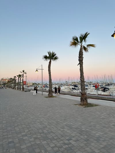 The image depicts a paved walkway along a waterfront in Santa Pola, Spain. The sky is light blue and pink indicating either sunset or sunrise. Several palm trees line the walkway. In the background, there's a marina with numerous boats and yachts. There are a few people visible on the walkway, some walking and some standing. A light post is placed near a palm tree on the walkway. The pavement is made of grey bricks.