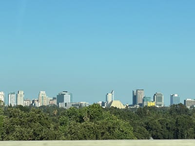 This is a wide, horizontal, eye-level shot of the Sacramento skyline, seen from across the American River in West Sacramento, California, United States of America. The sky is a clear, pale blue, with no clouds visible. The middle ground is dominated by a dense line of green trees, some of which have brown trunks and branches, as well as several palm trees.
In the background, the Sacramento skyline rises above the trees. The buildings are a mix of modern skyscrapers and older, shorter buildings. Notable structures include a pyramid-shaped building, a tall building with a white facade and many windows, and a building with a blue glass facade. The overall impression is one of a vibrant, modern city surrounded by nature. The lighting suggests it is daytime, with the sun high in the sky. There are no people or animals visible in the image.